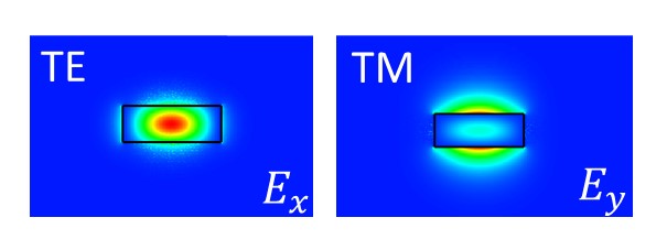Figure 3: The electric field intensity for TE and TM polarization at the input waveguide with the dominant components of E_{x} and E_{y}, respectively.